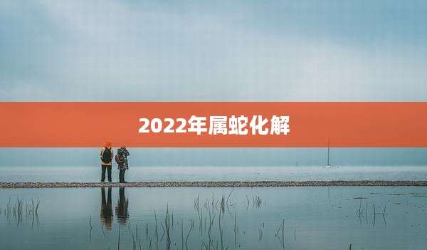 2022年属蛇化解