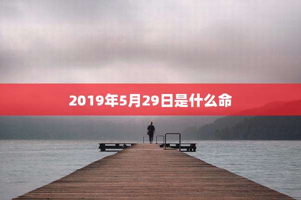 2019年5月29日是什么命