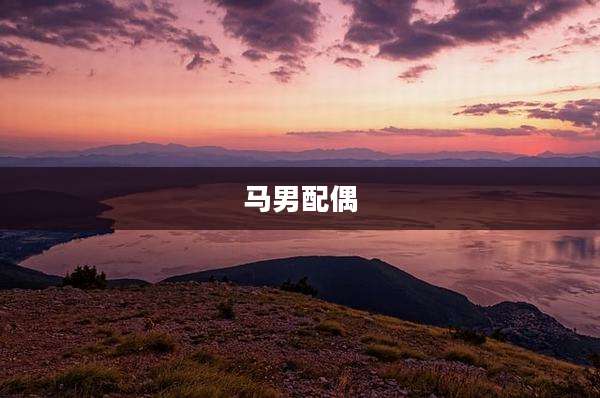 马男配偶