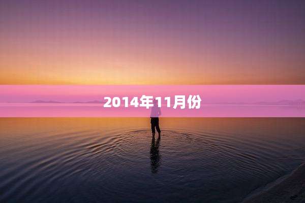 2014年11月份