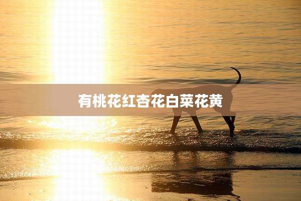 有桃花红杏花白菜花黄