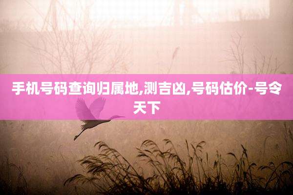 手机号码查询归属地,测吉凶,号码估价-号令天下