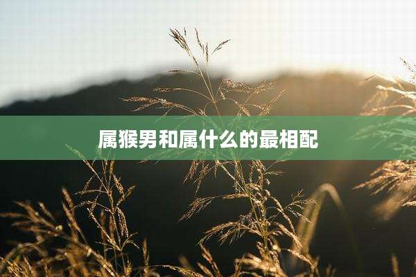 属猴男和属什么的最相配