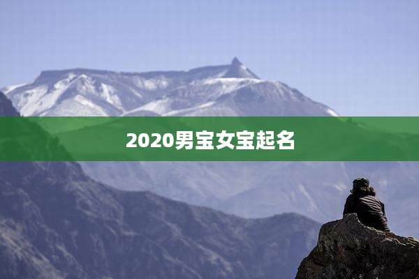 2020男宝女宝起名