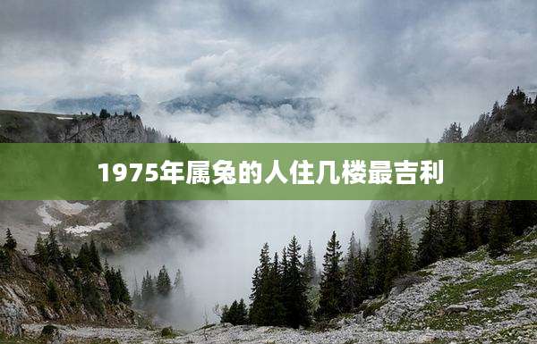 1975年属兔的人住几楼最吉利