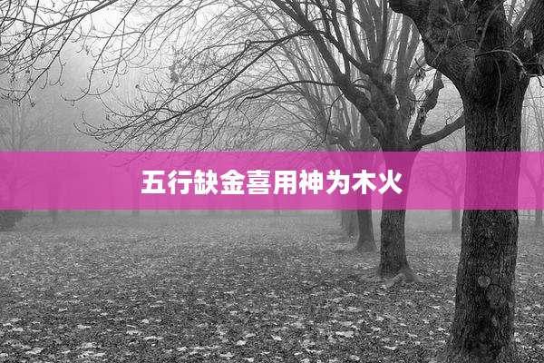 五行缺金喜用神为木火