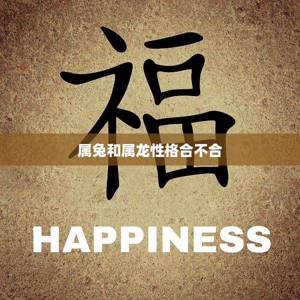 属兔和属龙性格合不合