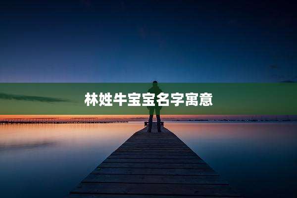林姓牛宝宝名字寓意