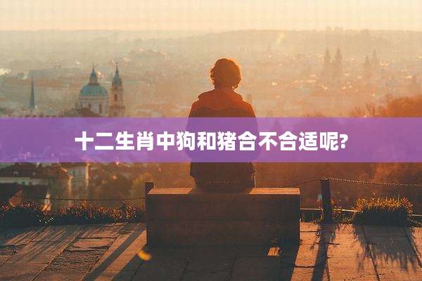 十二生肖中狗和猪合不合适呢?