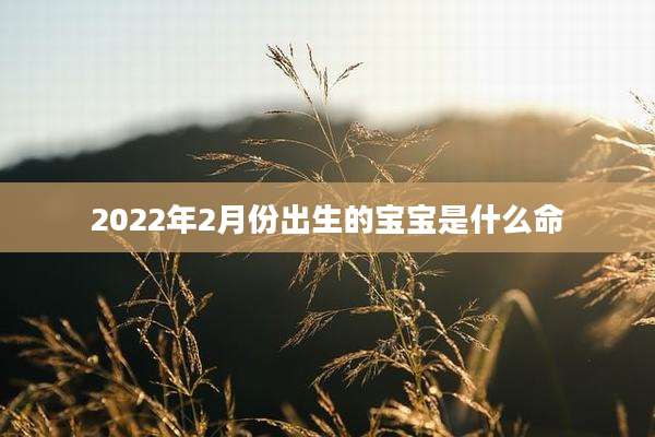2022年2月份出生的宝宝是什么命