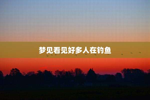 梦见看见好多人在钓鱼