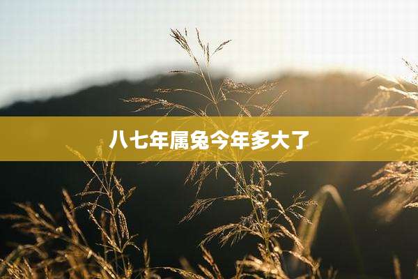 八七年属兔今年多大了
