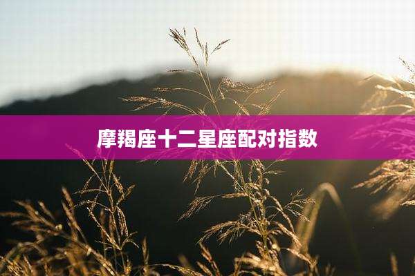 摩羯座十二星座配对指数