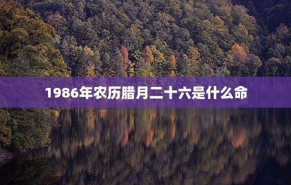 1986年农历腊月二十六是什么命