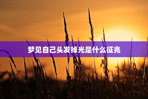 梦见自己头发掉光是什么征兆