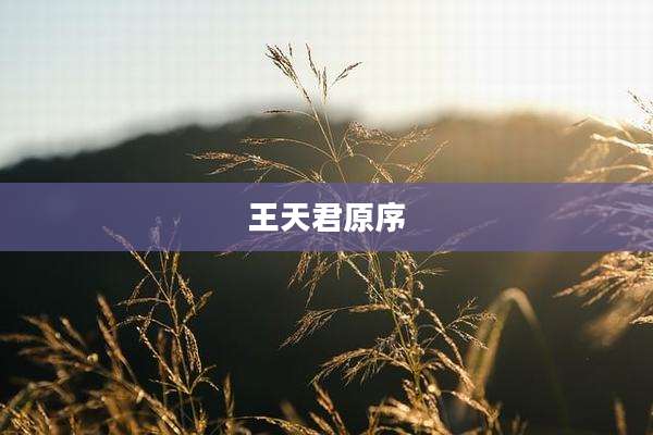 王天君原序