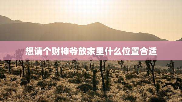 想请个财神爷放家里什么位置合适