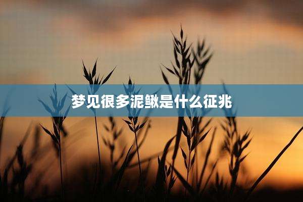 梦见很多泥鳅是什么征兆
