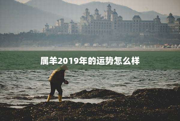 属羊2019年的运势怎么样