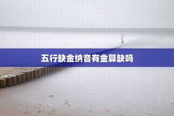 五行缺金纳音有金算缺吗