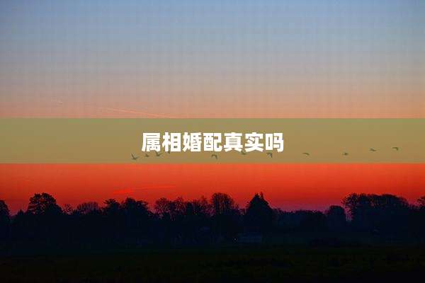 属相婚配真实吗