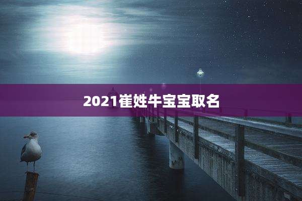 2021崔姓牛宝宝取名