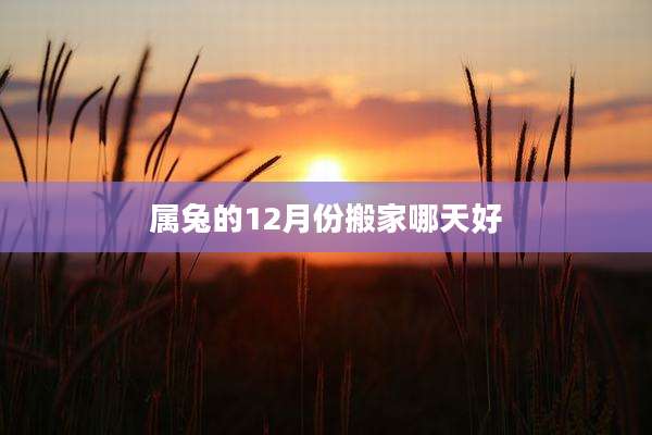 属兔的12月份搬家哪天好