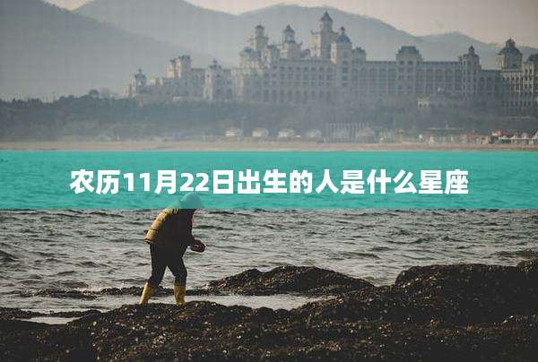 农历11月22日出生的人是什么星座