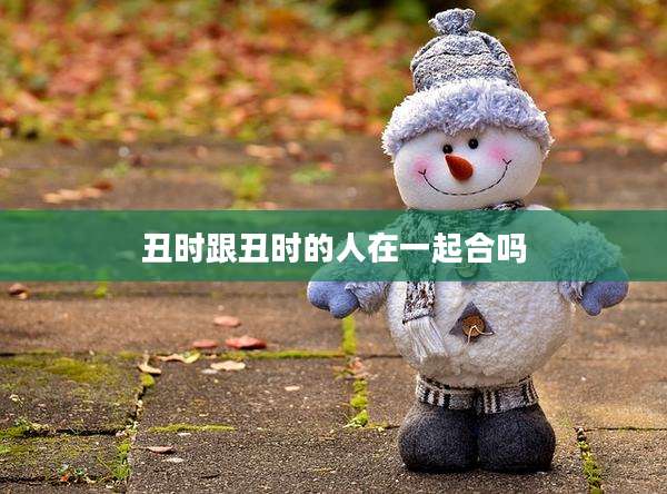 丑时跟丑时的人在一起合吗