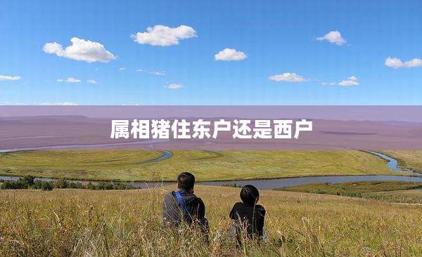 属相猪住东户还是西户