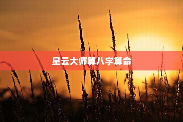 星云大师算八字算命