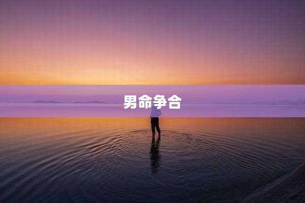 男命争合