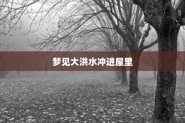 梦见大洪水冲进屋里