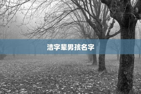 洁字辈男孩名字
