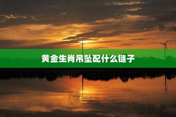 黄金生肖吊坠配什么链子