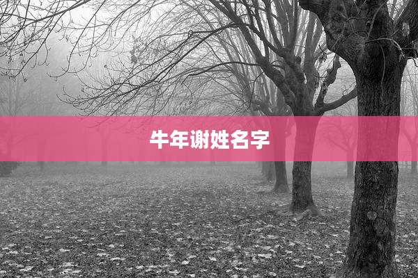 牛年谢姓名字