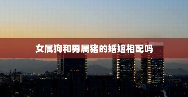 女属狗和男属猪的婚姻相配吗