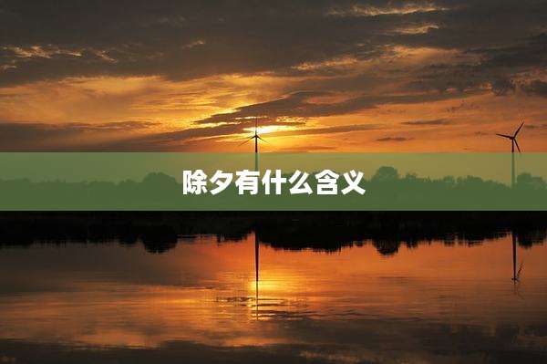 除夕有什么含义