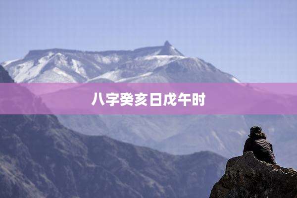 八字癸亥日戊午时