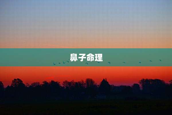 鼻子命理