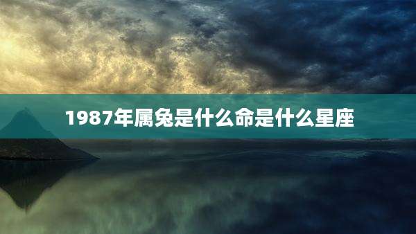 1987年属兔是什么命是什么星座