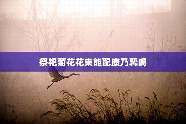 祭祀菊花花束能配康乃馨吗