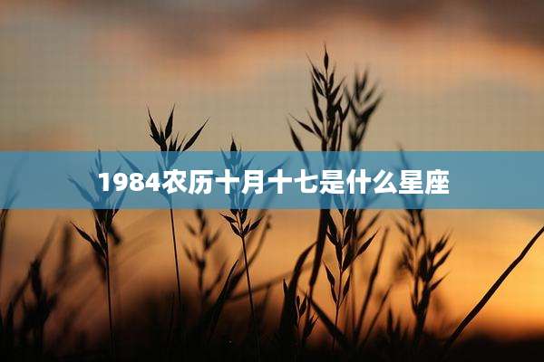 1984农历十月十七是什么星座