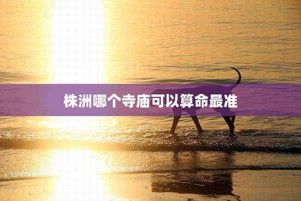 株洲哪个寺庙可以算命最准