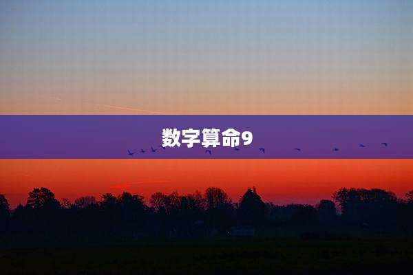 数字算命9