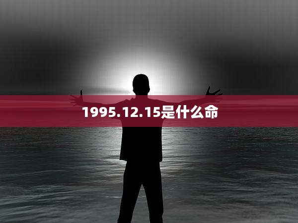 1995.12.15是什么命