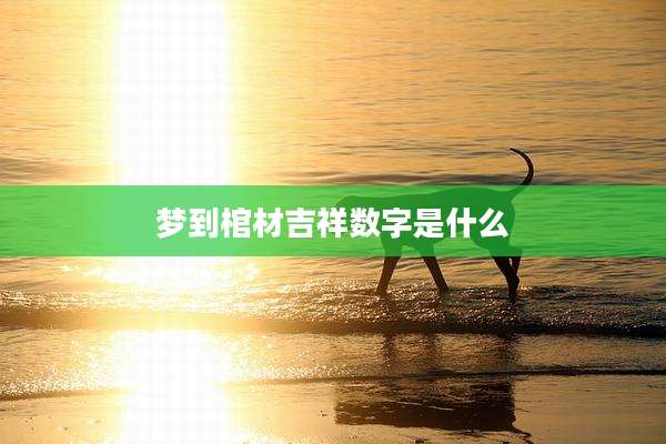 梦到棺材吉祥数字是什么