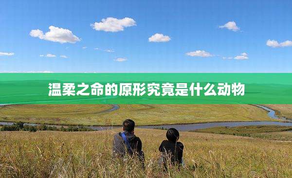 温柔之命的原形究竟是什么动物