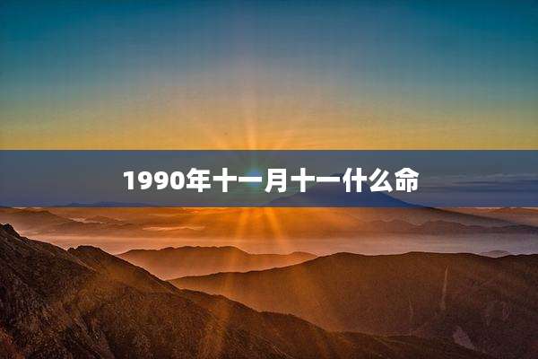 1990年十一月十一什么命