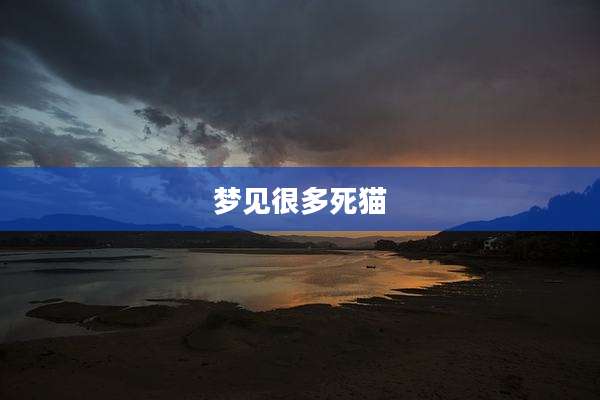 梦见很多死猫